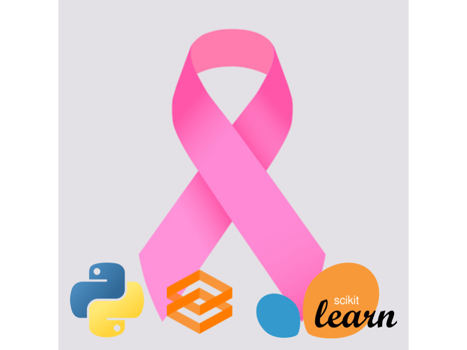 Breast Cancer Diagnosis Logo